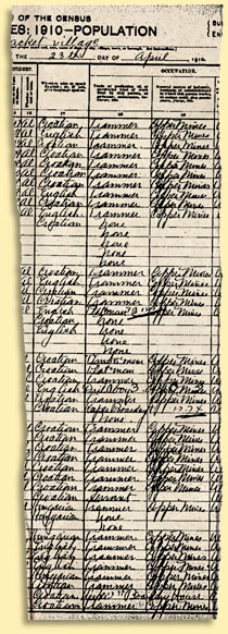 1910 census